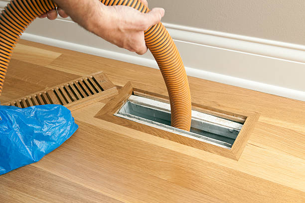 Air Duct Mold Removal in Steelton, PA